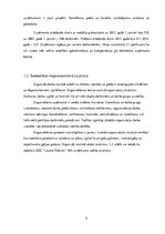 Practice Reports 'Sabiedrība ar ierobežotu atbildību LSEZ "Lauma Fabrics"', 9.