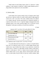 Practice Reports 'Sabiedrība ar ierobežotu atbildību LSEZ "Lauma Fabrics"', 34.