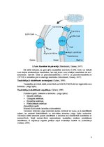Summaries, Notes 'Atšķirības starp taukskābju anabolisma un katabolisma ceļiem', 8.