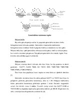 Research Papers 'Pretvēža medikaments "Gemcitabin"', 7.