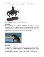 Summaries, Notes 'Portfolio, metodiskā mape', 4.