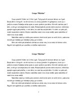 Practice Reports 'Pirmsskolas skolotāja agrīnās bērnības pedagoģiskā prakse', 7.
