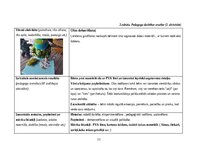 Practice Reports 'Pirmsskolas skolotāja agrīnās bērnības pedagoģiskā prakse', 11.