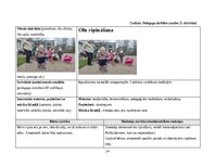 Practice Reports 'Pirmsskolas skolotāja agrīnās bērnības pedagoģiskā prakse', 14.