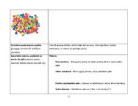 Practice Reports 'Pirmsskolas skolotāja agrīnās bērnības pedagoģiskā prakse', 17.