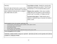 Practice Reports 'Pirmsskolas skolotāja agrīnās bērnības pedagoģiskā prakse', 19.
