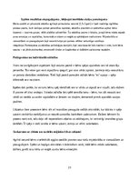 Practice Reports 'Pirmsskolas skolotāja agrīnās bērnības pedagoģiskā prakse', 23.