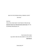 Essays 'Essay on the International Criminal Court ', 1.