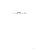 Practice Reports 'Atskaite par pirmsskolas izglītības praksi', 1.