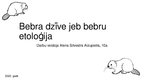 Presentations 'Bebru etoloģija', 1.