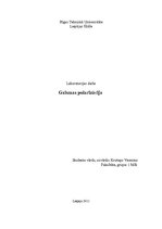 Samples 'Gaismas polarizācija - laboratorijas darbs fizikā', 1.