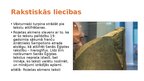 Presentations 'Metodiskā materiāla izstrāde Sociālās zinības un vēsture 5. klasei', 6.