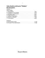 Business Plans 'IU "Rebeka" ', 1.