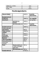 Business Plans 'IU "Rebeka" ', 9.