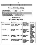 Business Plans 'IU "Rebeka" ', 10.