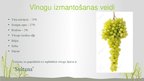 Presentations 'Pētnieciskais darbs pārtikas ķīmijā - vīnogas un mieži, vīns un alus', 3.