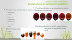 Presentations 'Pētnieciskais darbs pārtikas ķīmijā - vīnogas un mieži, vīns un alus', 14.
