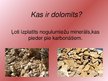 Presentations 'Dolomītu atsegumi Lielupes krastā', 4.