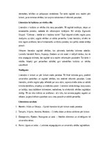 Essays 'Literatūras mūžīgais spogulis: laikmetu un pāri laikam esošo vērtību atklājumi', 3.