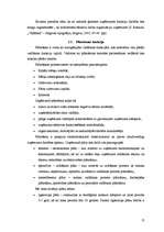 Term Papers 'Vadības funkciju realizācija uzņēmumā SIA "Baltrotors"', 12.