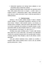 Term Papers 'Vadības funkciju realizācija uzņēmumā SIA "Baltrotors"', 15.
