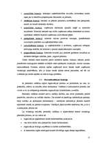 Term Papers 'Vadības funkciju realizācija uzņēmumā SIA "Baltrotors"', 17.