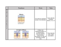 Summaries, Notes 'Transports caur plazmatisko membrānu', 1.