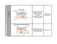 Summaries, Notes 'Transports caur plazmatisko membrānu', 4.