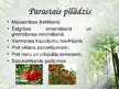 Presentations 'Latvijas ārstniecības augi', 3.