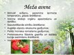 Presentations 'Latvijas ārstniecības augi', 7.