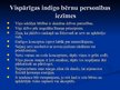 Presentations 'Indigo personība un sabiedrības attieksme pret indigo bērniem', 6.