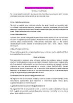 Summaries, Notes 'Neorganisko saistvielu tehnoloģija, ģipsis', 1.
