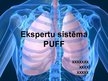Presentations 'Ekspertu sistēma plaušu funkcionālo datu novērtēšanai', 1.