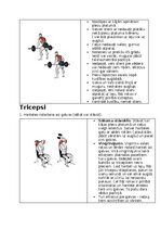 Summaries, Notes 'Fitnesa vingrinājumi', 7.