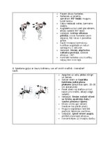 Summaries, Notes 'Fitnesa vingrinājumi', 11.