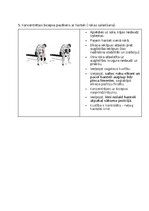 Summaries, Notes 'Fitnesa vingrinājumi', 16.