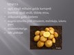 Presentations 'Kartupeļi', 11.