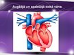 Presentations 'Sirds un asinsvadu sistēmas anatomija, asins sastāvs', 33.