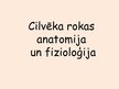 Presentations 'Rokas anatomija un fizioloģija', 1.