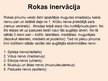 Presentations 'Rokas anatomija un fizioloģija', 12.
