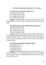Research Papers 'Finanšu analīze SIA "Tamro"', 14.