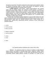 Term Papers 'Speciālie pasākumi jauniešu iesaistīšanai Latvijas kultūras pieminekļu aizsardzī', 12.