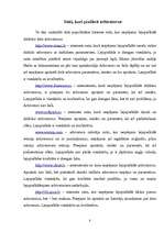 Research Papers 'Arhivatori', 8.