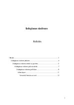 Research Papers 'Izdegšanas sindroms', 1.