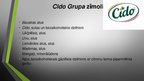 Presentations 'Uzņēmums "Cido Grupa"', 3.