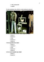 Research Papers 'Kā apģērbu veikalu skatlogu iekārtojums ietekmē pircējus', 17.