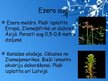 Presentations 'Ezeru ekosistēma', 10.