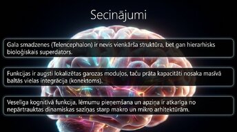 Presentations 'Nervu sistēmas strukturālā un funkcionālā organizācija', 14.