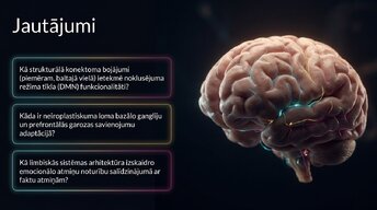 Presentations 'Nervu sistēmas strukturālā un funkcionālā organizācija', 16.