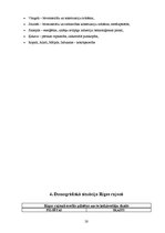 Research Papers 'Demogrāfiskā situācija Latvijā un Rīgas rajonā', 20.